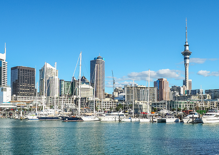 Moving to New Zealand