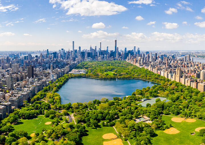 Moving to the United States