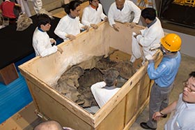 Special Exhibition: Mammoth YUKA