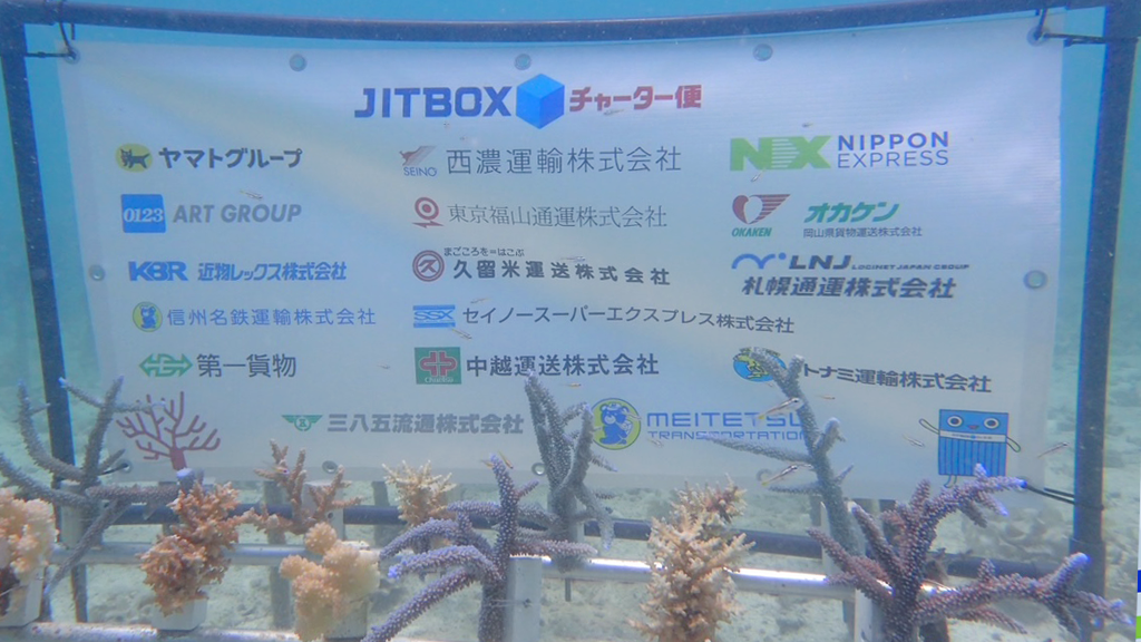JITBOX Charter Flight's Environmental Initiatives