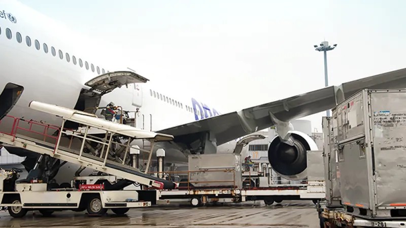 We handle a wide range of cargo, from documents to precision equipment and fresh produce.