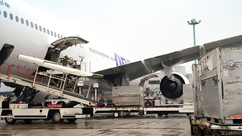 When to use it? How to use it? Air cargo transport as an option.