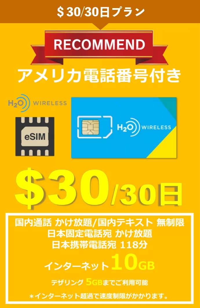 $30/30日プラン