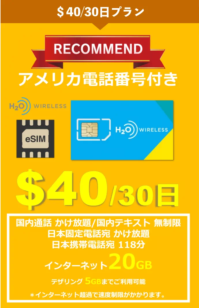 $40/30日プラン