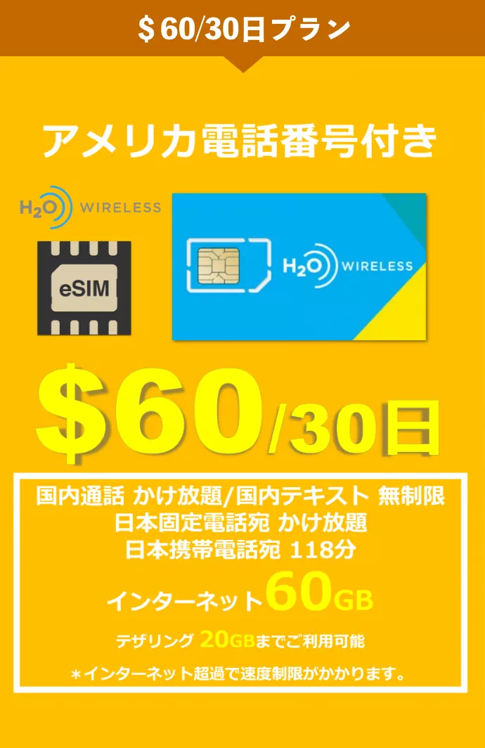 $60/30日プラン