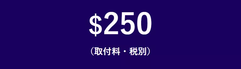 $250(取付料・税別)